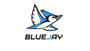 BlueJay Games, Inc